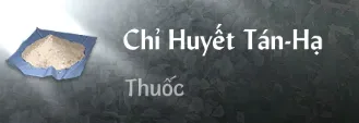 Chỉ Huyết Tán-Hạ