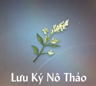 Lưu Ký Nô Thảo