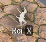 rơi